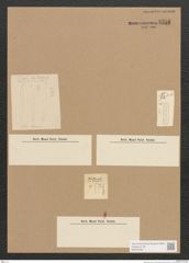 Nitzschiaeae indet. Zeichnungen Sammlung Grunow Nr. 4358 (NHMW-BOT-W0372532)